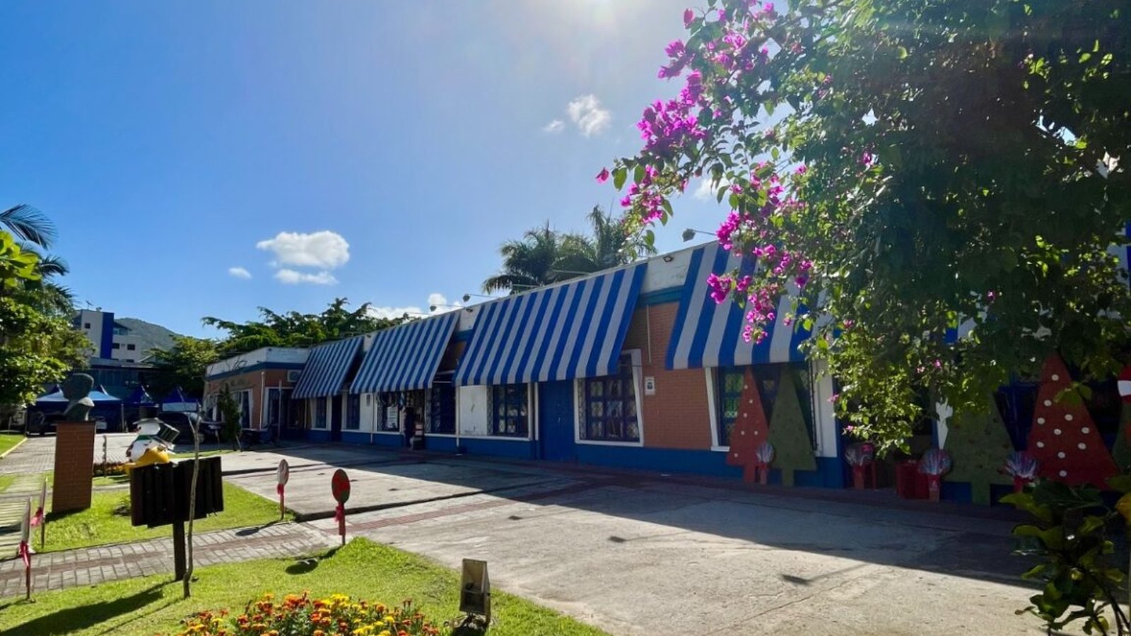 Prédio térreo de Itapema com toldos listrados de azul e branco sobre as vitrines, calçadão de concreto na frente, canteiro de flores amarelas e laranjas na grama e um pé de primavera florido em primeiro plano.