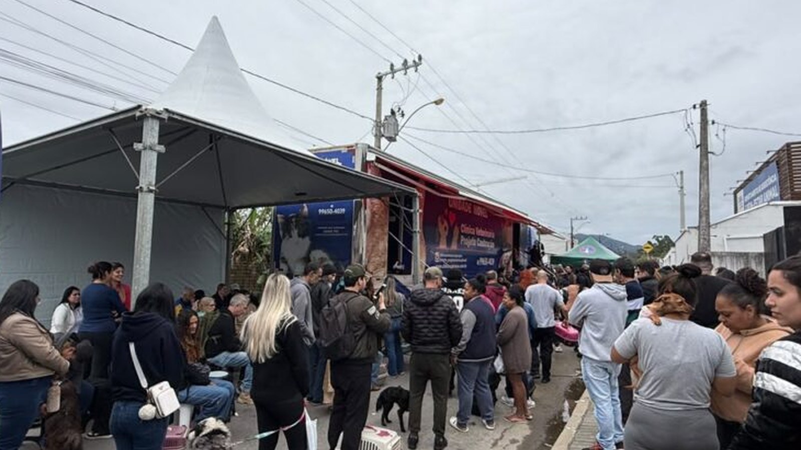 Fila de tutores com cães na guia e caixas de transporte numa rua de Itapema, ao lado de uma tenda branca e do caminhão da unidade móvel de castração estacionado junto ao meio-fio.