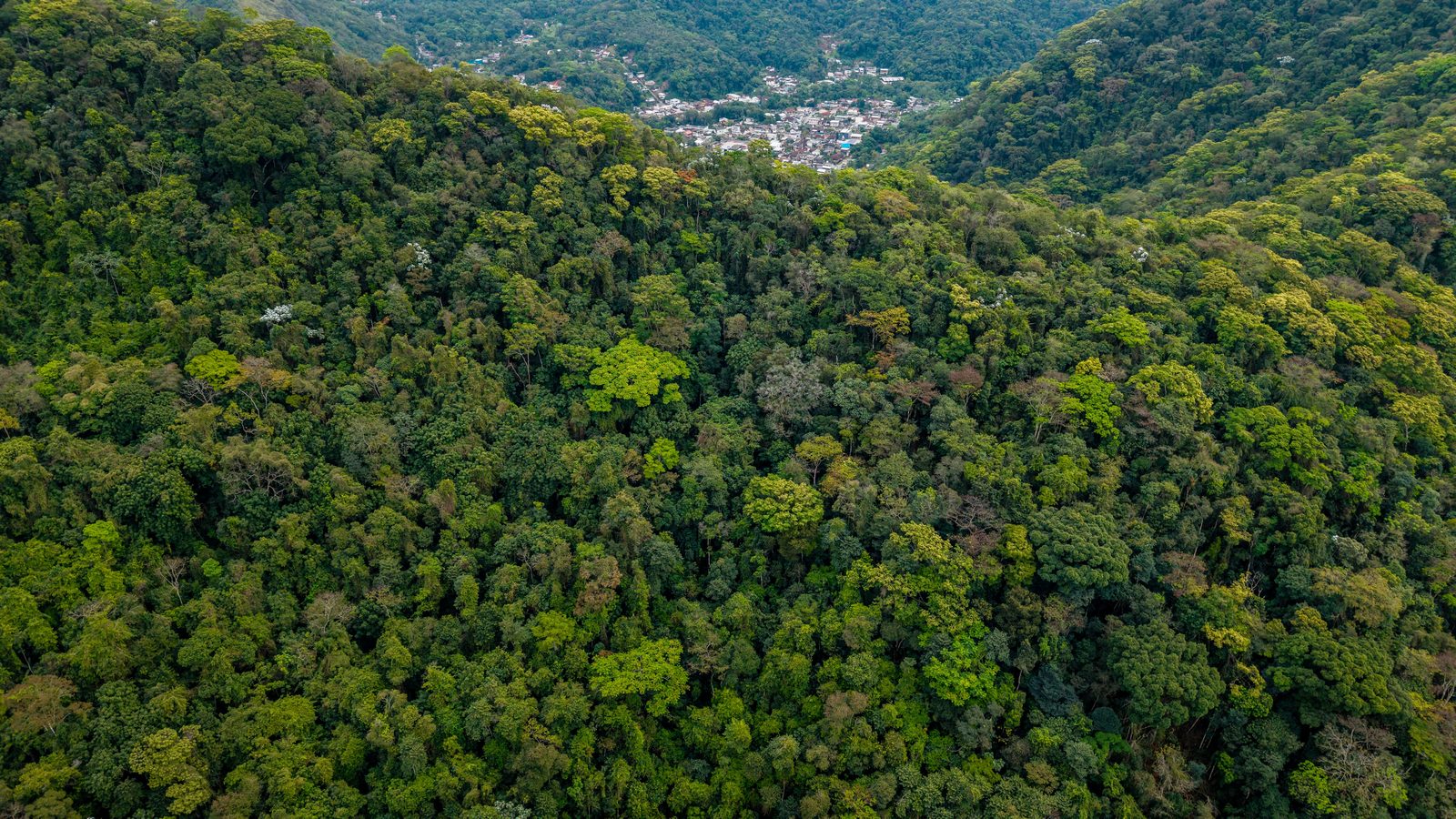 Vista aérea de morros cobertos por mata fechada de copas verdes em vários tons, com um vale ao fundo onde aparecem as casas de uma cidade encaixada entre as encostas.