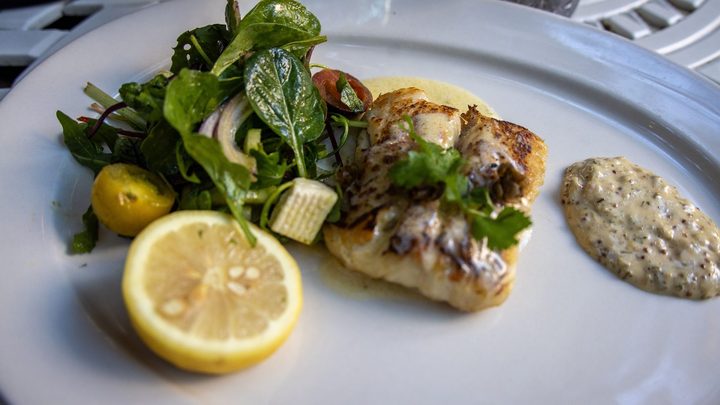 Prato branco visto de perto com um filé de peixe grelhado no centro, salada verde com tomate ao lado, meio limão cortado e uma porção de molho claro na borda.