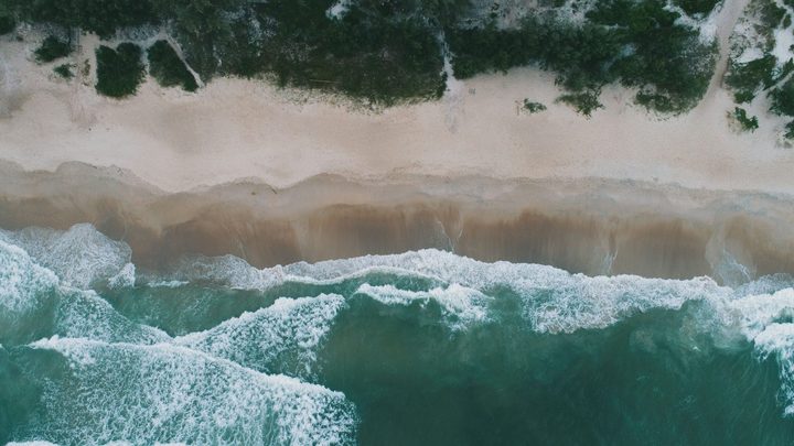 Vista aérea de cima para baixo de uma praia, com a arrebentação branca do mar avançando sobre a areia clara e a vegetação verde da restinga ocupando a faixa de cima do quadro.