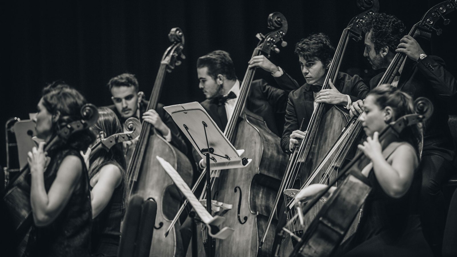 Naipe de cordas de uma orquestra em foto preto e branco, com músicos tocando violoncelos e contrabaixos em pé no palco, estantes de partitura à frente e fundo escuro.